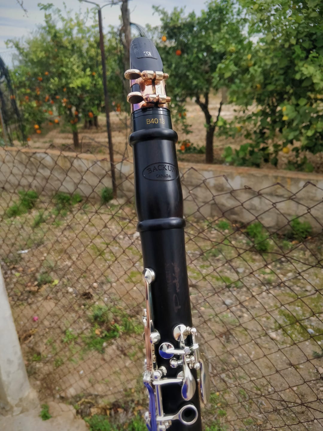 Customer photo review of Protégé Bb Clarinet