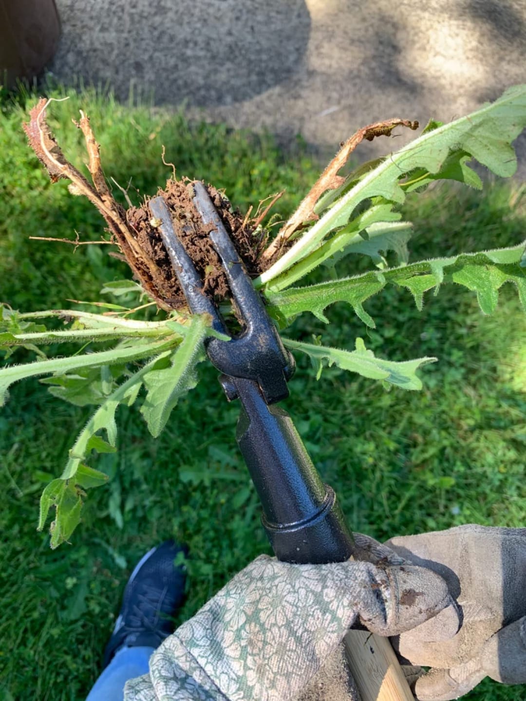 Customer photo review of Gripzter Ugressfjerner - Fjern ugress uten problemer