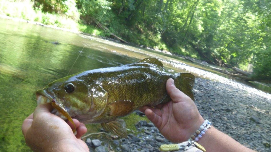 Customer photo review of 200% Sensitive Tungsten Ball Jig Heads Damiki Rig Jig Heads | No Chip Black | 5 Pack
