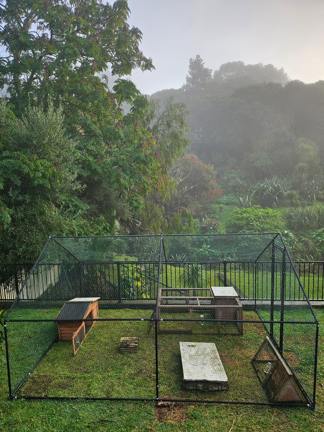 Customer photo review of Outdoor Chicken Run With One Cover - 300x400x200cm, Upgraded Frame for Extended Durability