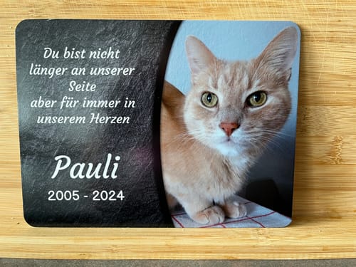 Customer photo review of Katzen Gedenktafel mit Foto & Spruch (UV- & Wetterfest)