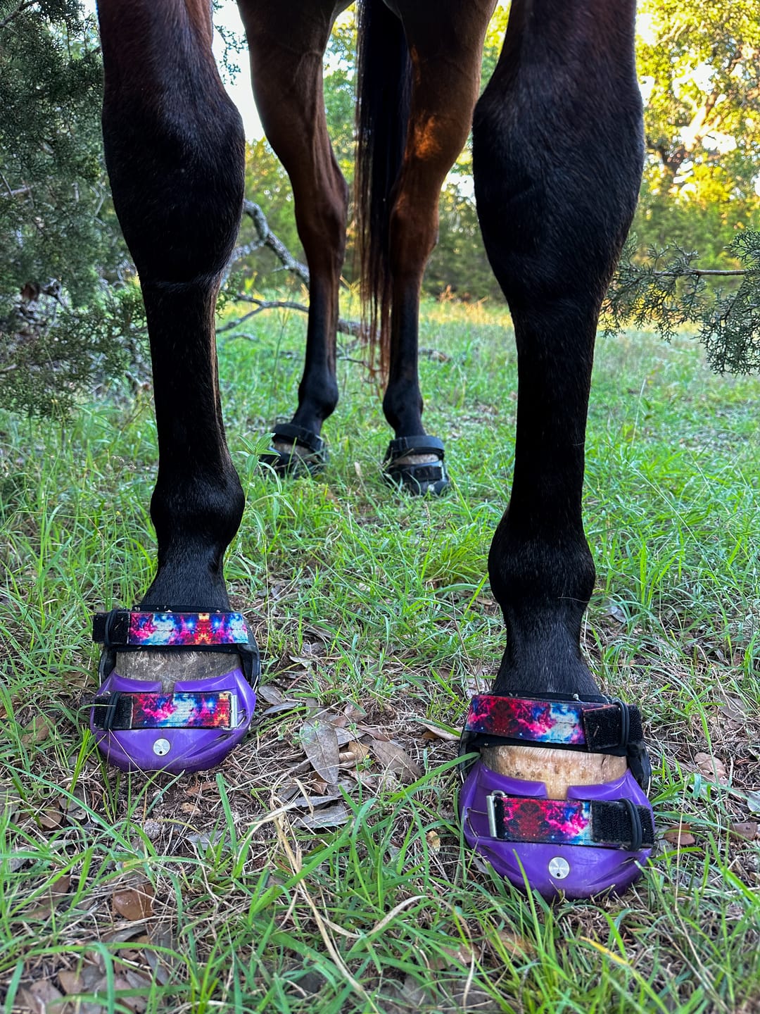 Customer photo review of Renegade® Viper™ Mystic Purple