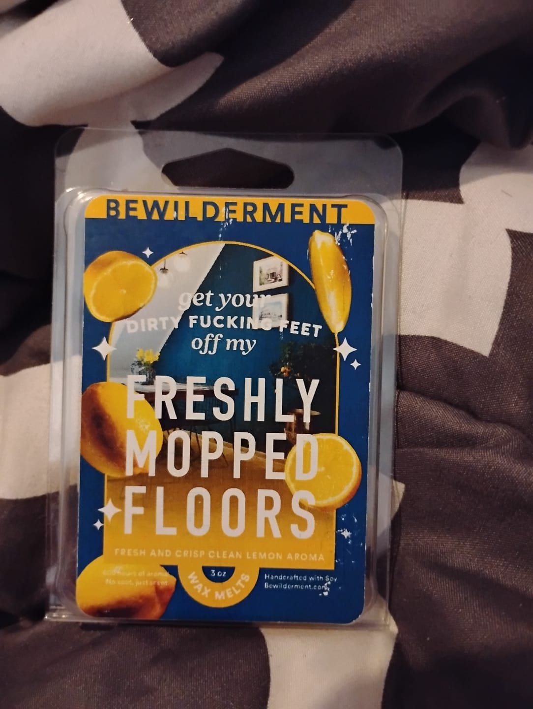Customer photo review of Freshly Mopped Floors Wax Melts