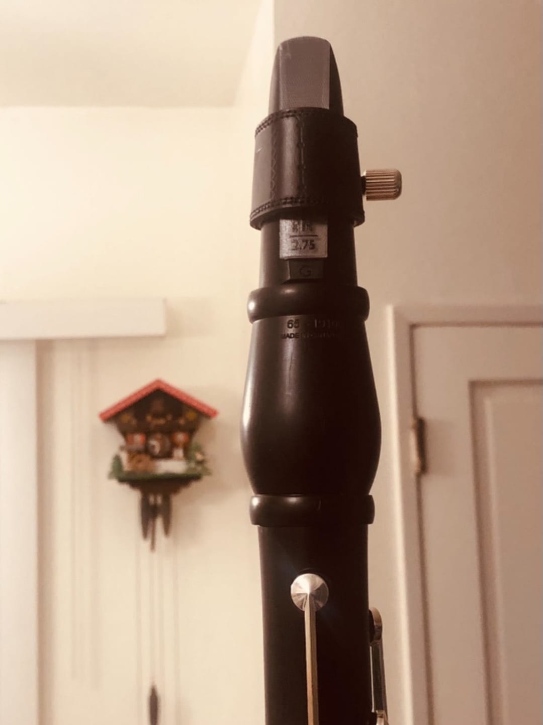 Customer photo review of Légère European Cut Bb Clarinet Reeds