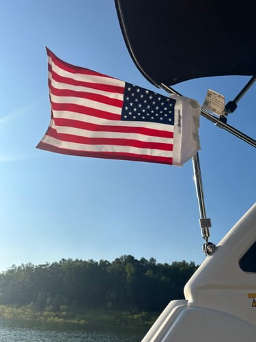 Customer photo review of American Flag