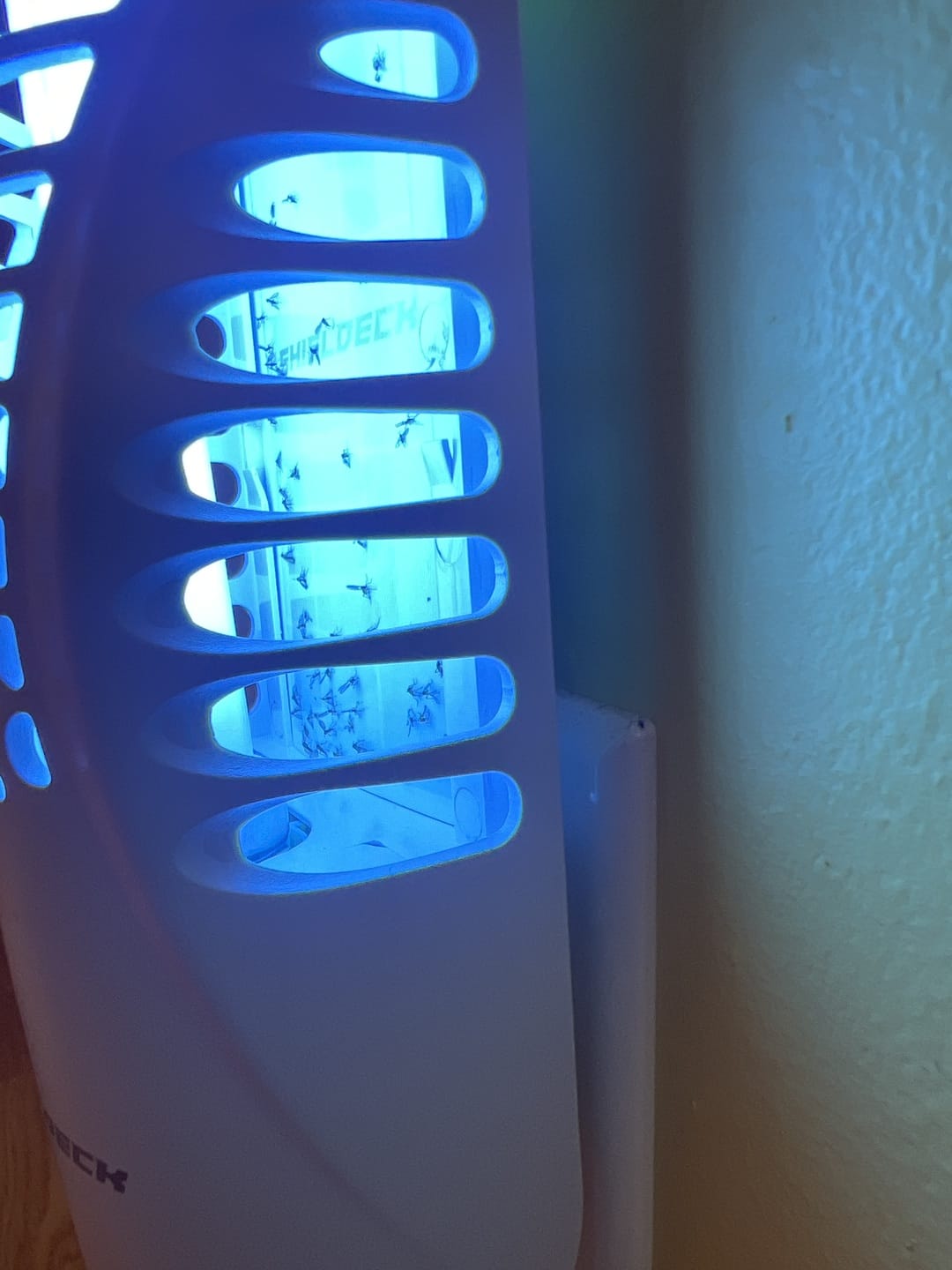 Customer photo review of Shieldeck® BuzzTrap - Ultimate Indoor Fly Smart UV Trap