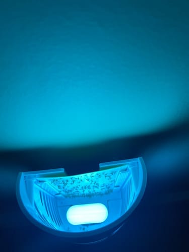 Customer photo review of Shieldeck® BuzzTrap - Ultimate Indoor Mosquito Smart UV Trap