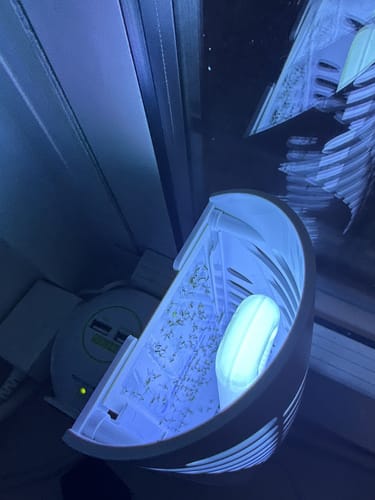 Customer photo review of Shieldeck® BuzzTrap - Ultimate Indoor Fly Smart UV Trap