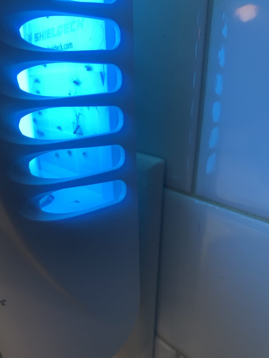Customer photo review of Shieldeck® BuzzTrap - Ultimate Indoor Mosquito Smart UV Trap
