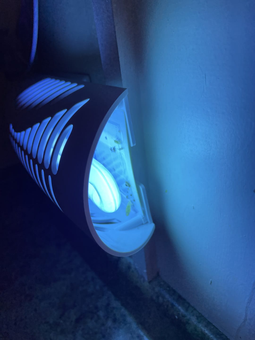 Customer photo review of Shieldeck® BuzzTrap - Smart Indoor Bug Zapper