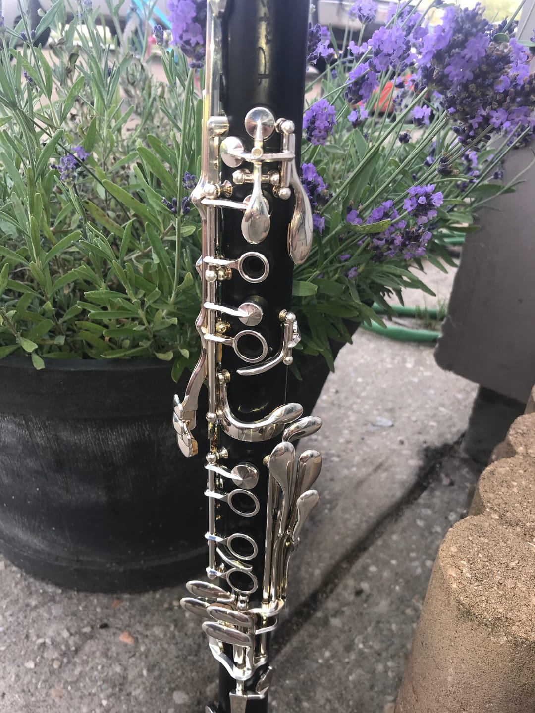 Customer photo review of Protégé Bb Clarinet