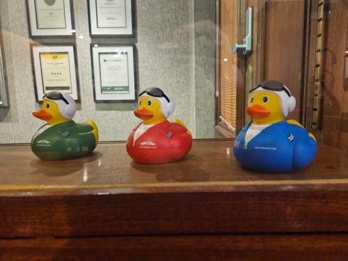 Lyndsey review of RAF Association Red Arrows Ducks - Red/Green/Blue (Pack of 3) image 1 out of 5