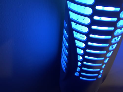 Customer photo review of Shieldeck® BuzzTrap - Plug-In Indoor Fruit Fly Smart UV Trap