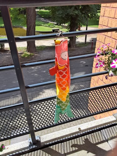 Customer photo review of Koinobori Arc-en-Ciel (S)