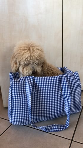 Customer photo review of Trasportino Cotone Vichy Bluette