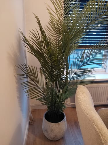 Customer photo review of Kunstpalm 180cm