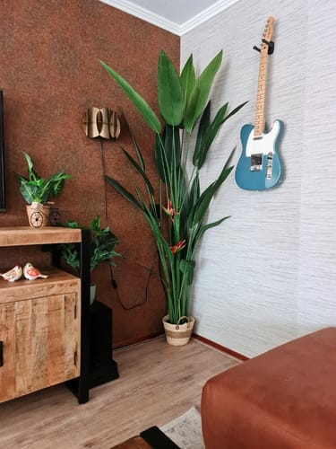 Customer photo review of Strelitzia Kunstplant Met Bloem 210cm