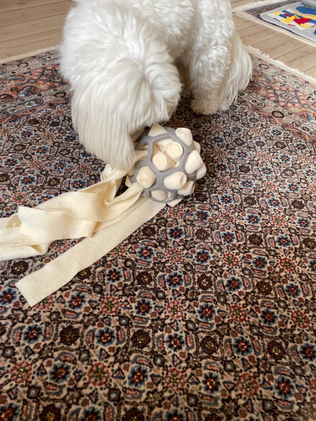 Customer photo review of SnufFiesta: Den Ultimative Snusebold