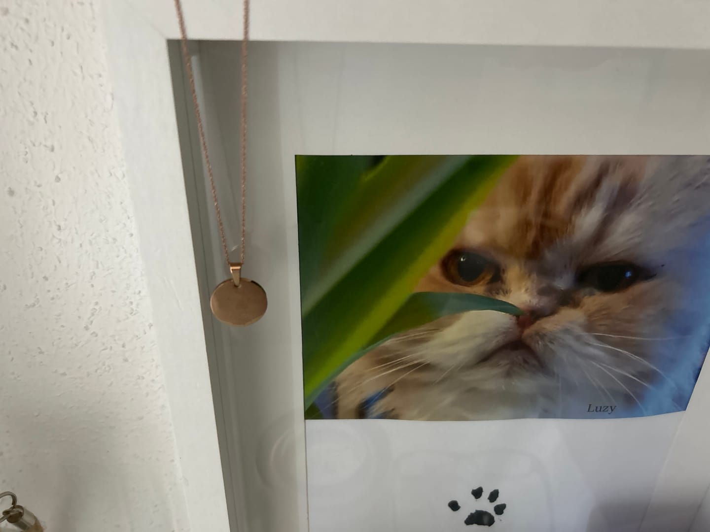 Customer photo review of Halskette mit Pfotenabdruck und Gravur