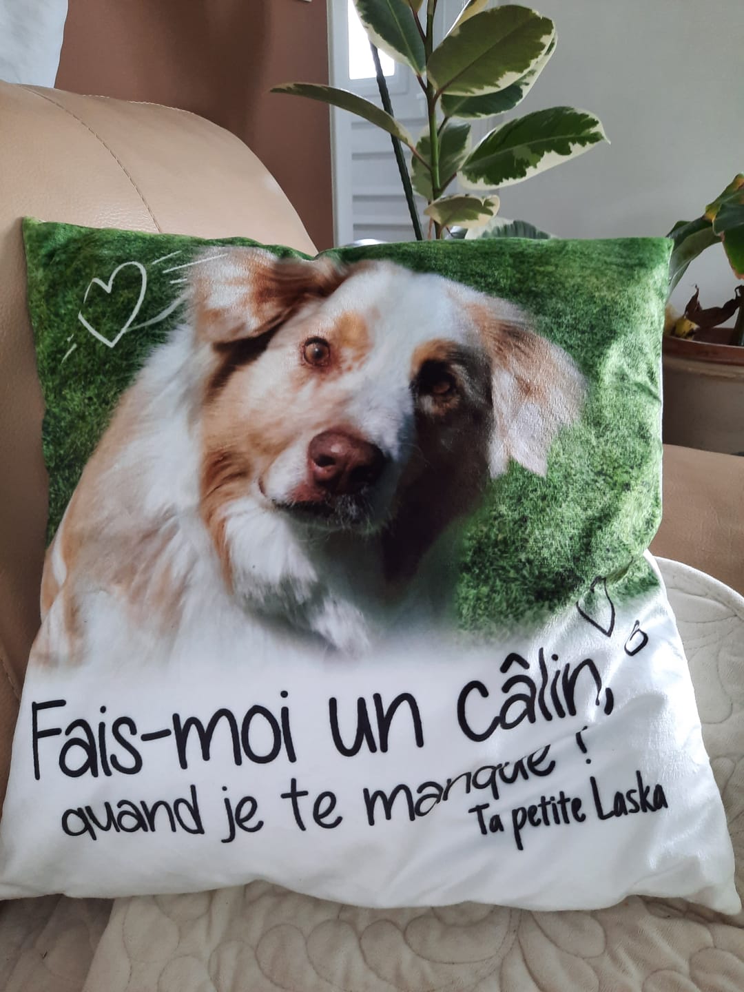 Customer photo review of Fais moi un câlin quand je te manque - Coussin personnalisé