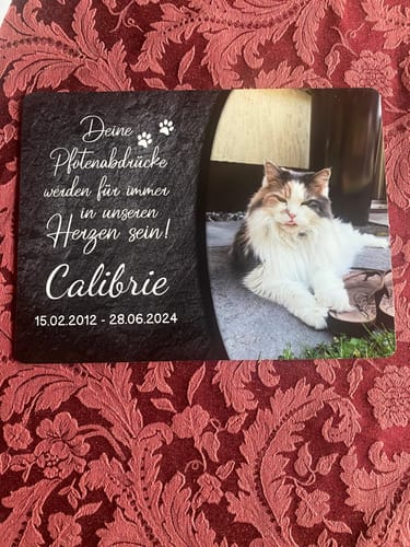 Customer photo review of Katzen Gedenktafel mit Foto & Spruch (UV- & Wetterfest)