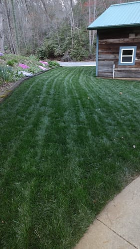 Customer photo review of OII-YS Natural Adjuvant