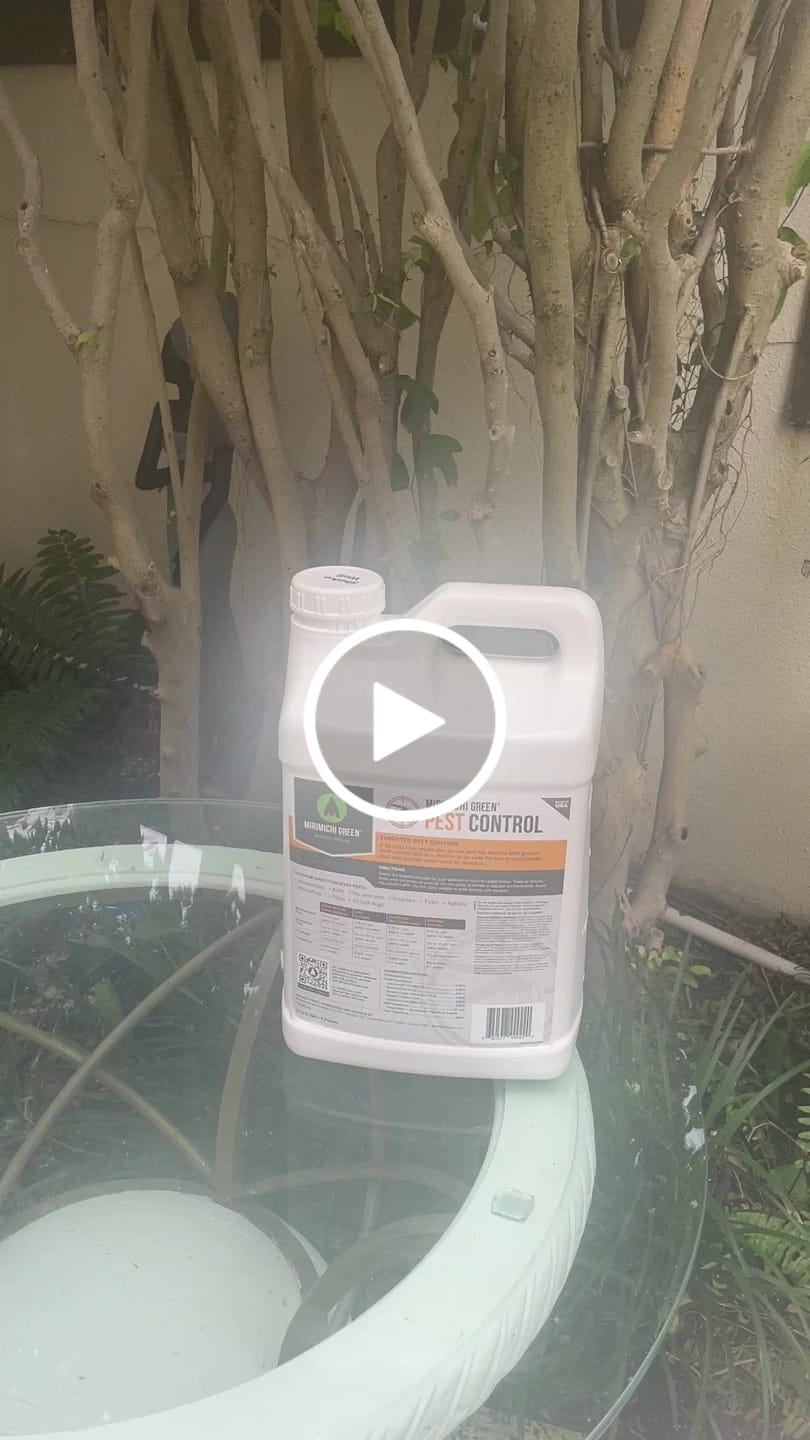 Customer video review of Mirimichi Green Pest Control