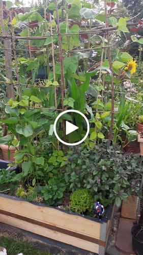 Customer video review of 1m² Hochbeet ErnteMAXX in Quadratform erhältlich in 3 Höhen