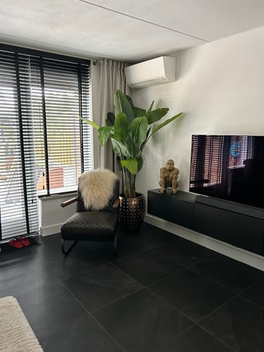 Customer photo review of Strelitzia Kunstplant 180cm