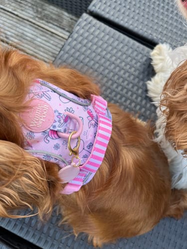 Customer photo review of Disney© Tough Trails™ Harness - Piglet