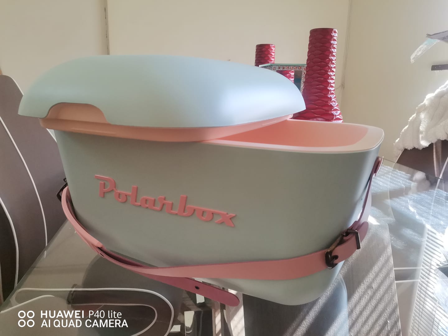 Customer photo review of Polarbox Retro Cooler Box 20L / 12L Cyan and Pink on