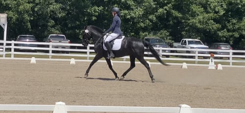 Customer photo review of Digestive HP
