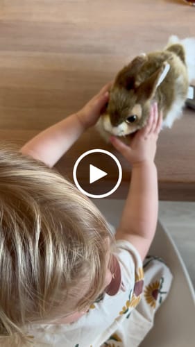 Customer video review of Hansa Creation Brown Bunny 23cm