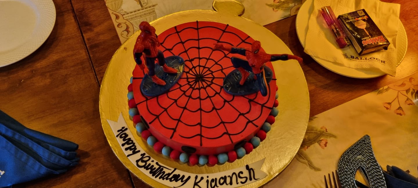 Customer photo review of Spidey Web