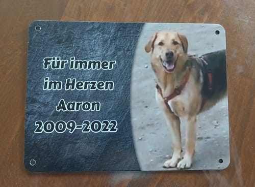 Customer photo review of Hunde-Türschild personalisiert mit Foto & Text (UV- und wetterfest)