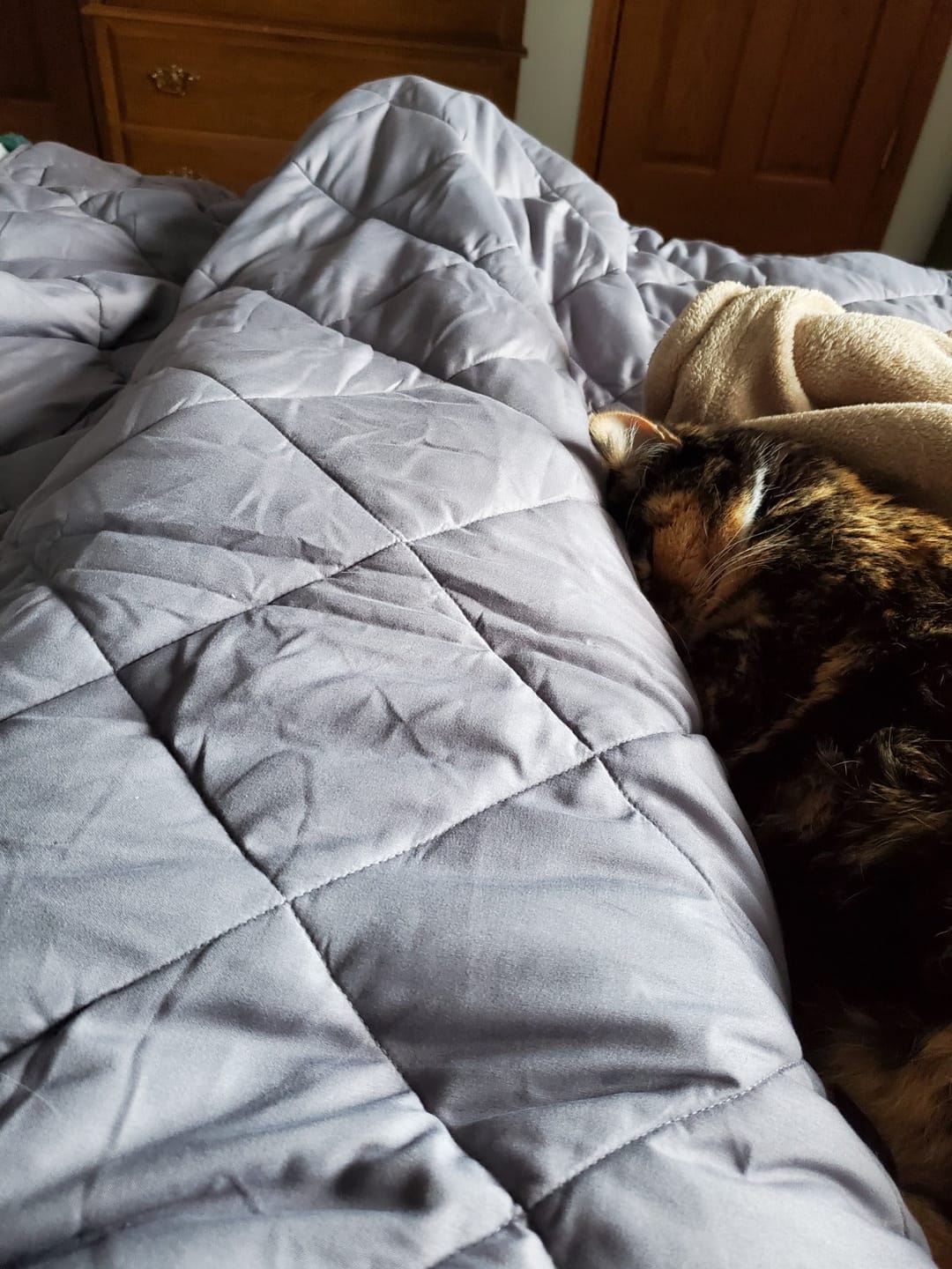 Customer photo review of Cooling Blanket™