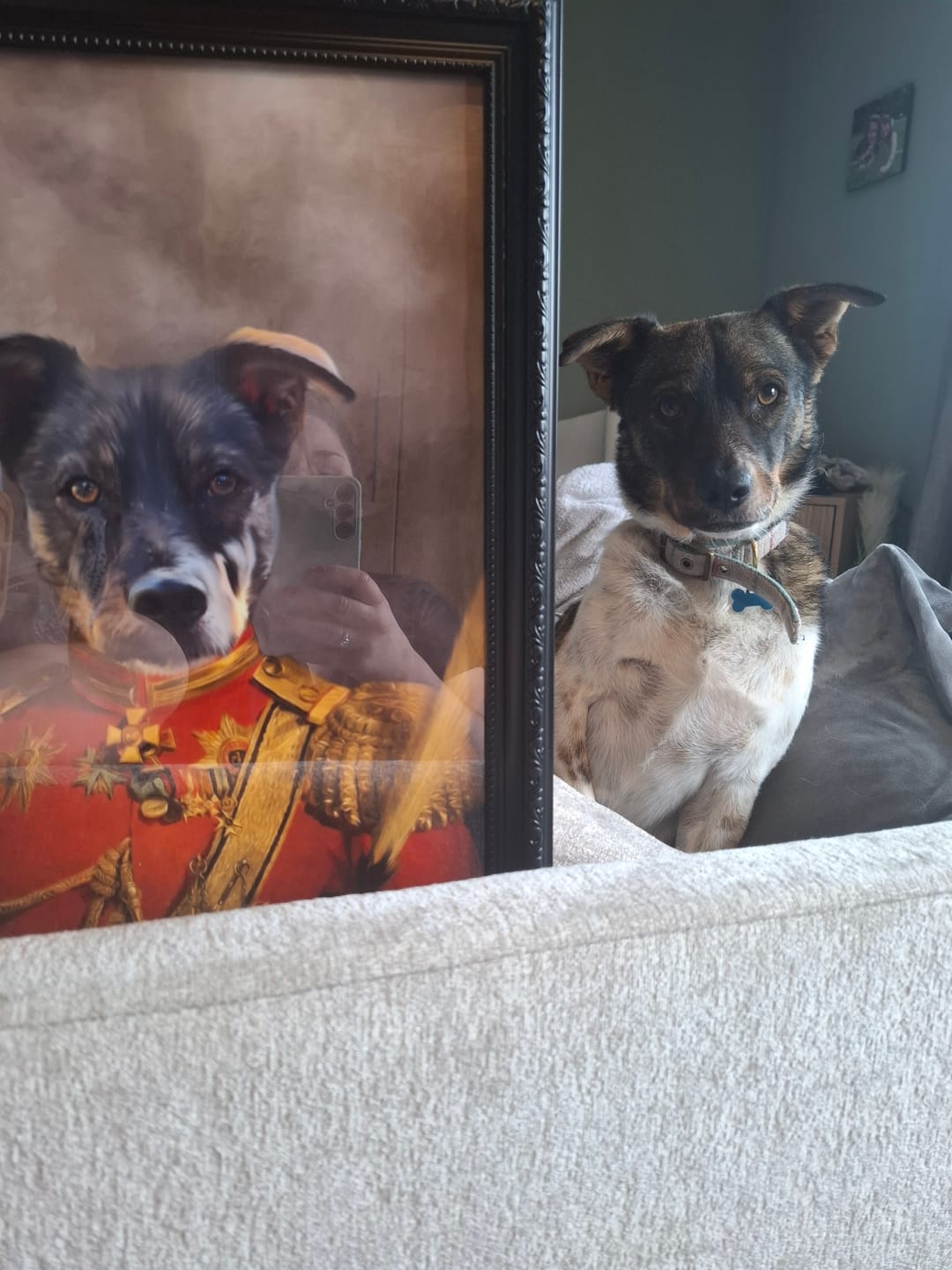 Customer photo review of The Duke: Custom Pet Portrait