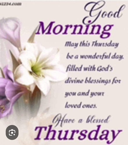 Customer photo review of Boule Blazer