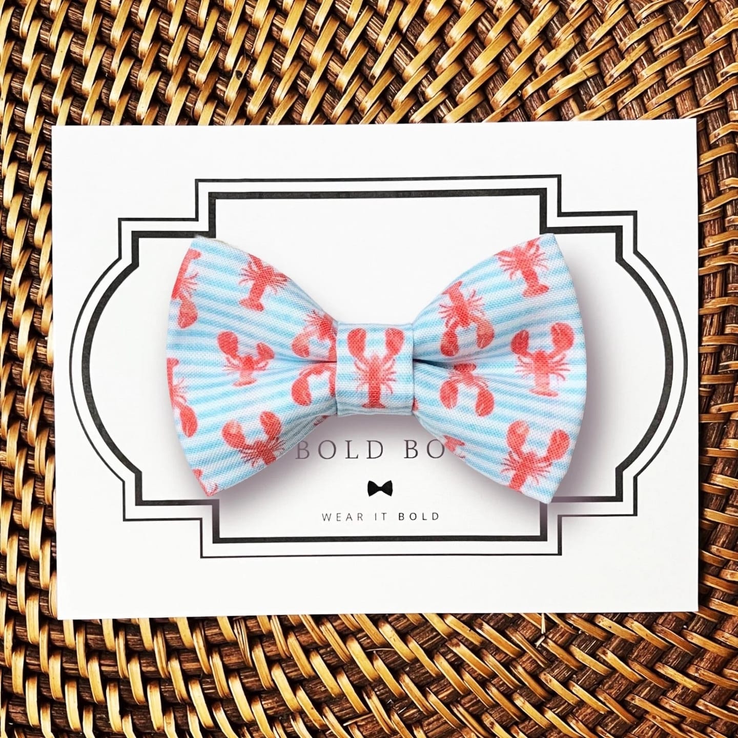 Customer photo review of Nautical Lobster Bow Tie for Dog and Cat Collar