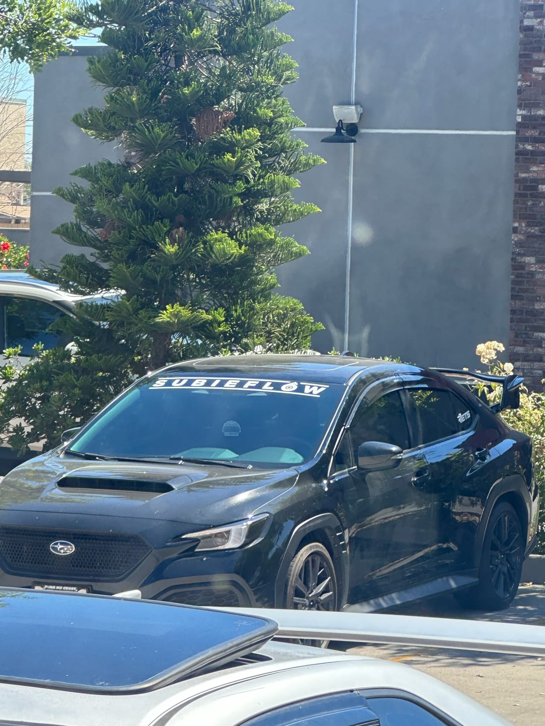 Customer photo review of SubieFlow Windshield Banners