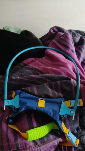 Customer photo review of Blind Dog Halo Collar | Adjustable Protective Ring Guidance Device