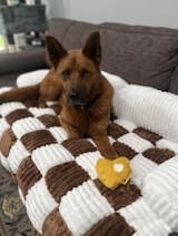 Customer photo review of Padded Furniture Protector