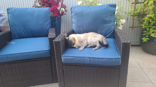 Customer photo review of 6 Pcs Patio Furniture Set, Outdoor Conversation Sets with Storage Table, Blue