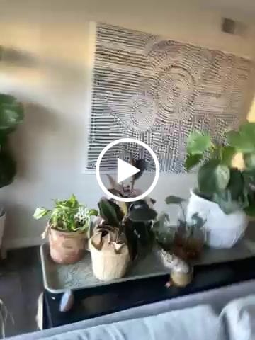 Customer video review of Clustered Dots A