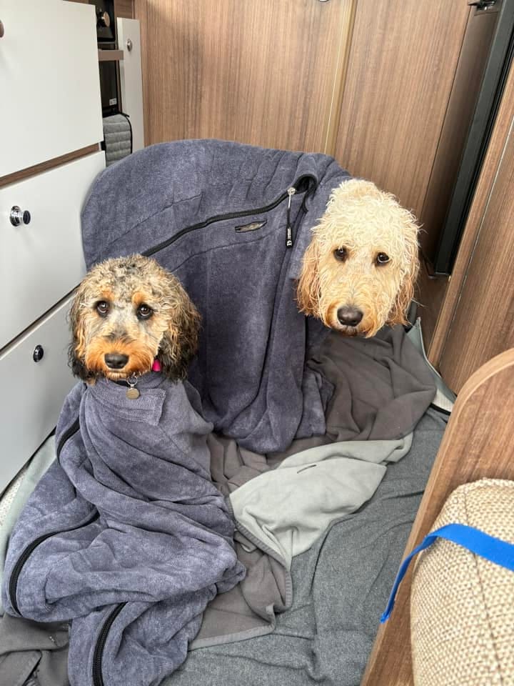 Customer photo review of Luxury Dog Drying Bag