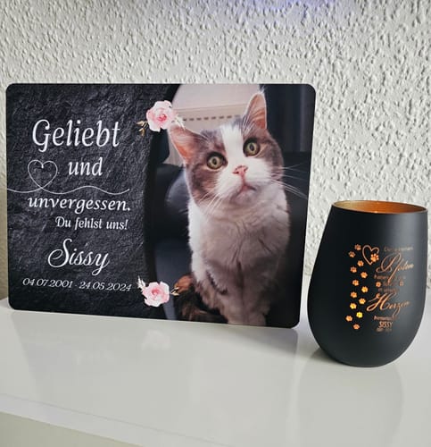 Customer photo review of Katzen Gedenktafel mit Foto & Spruch (UV- & Wetterfest)