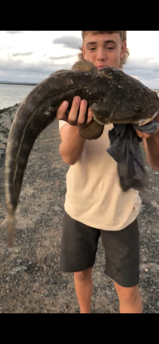 Customer photo review of GUPPIE SHAD - 2.25"