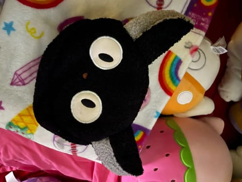 Customer photo review of Black Cat Plush Bag