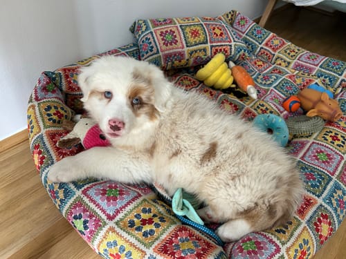 Customer photo review of Divanetto Crochet Squares Granny