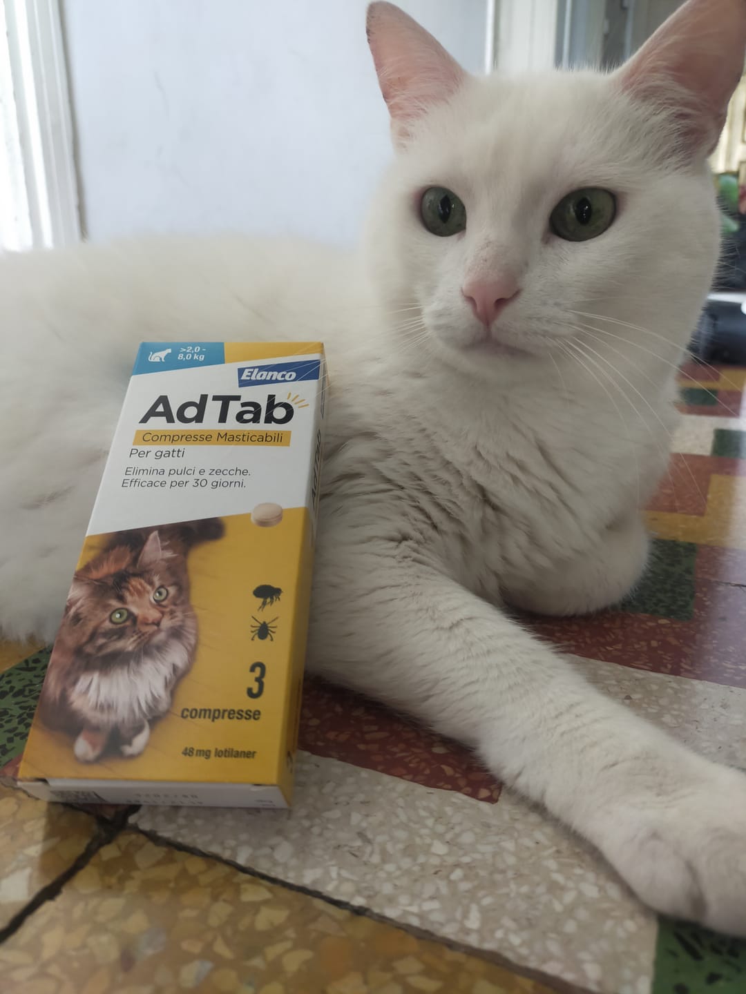 Customer photo review of ADTAB GATTI 2-8kg (3cpr) - Libera il Tuo Gatto da Pulci e Zecche